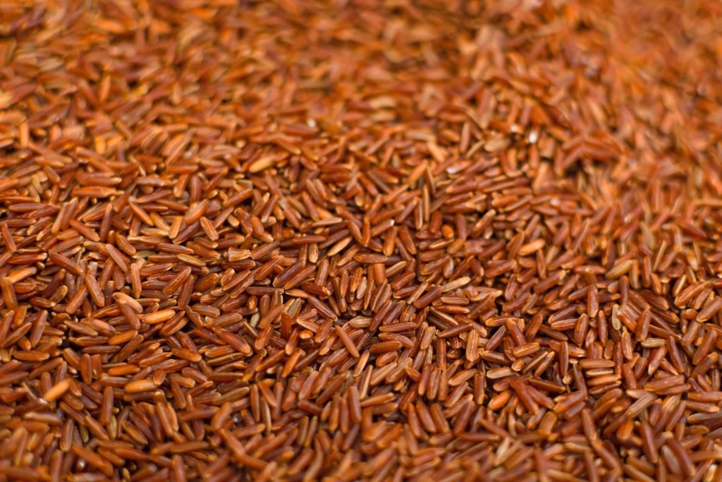 levure-de-riz-rouge-caracteristiques
