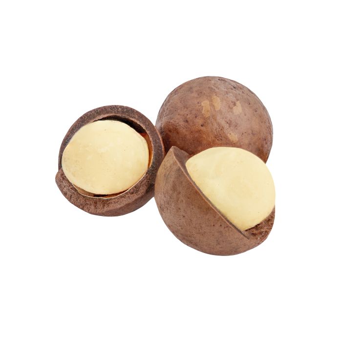 macadamia