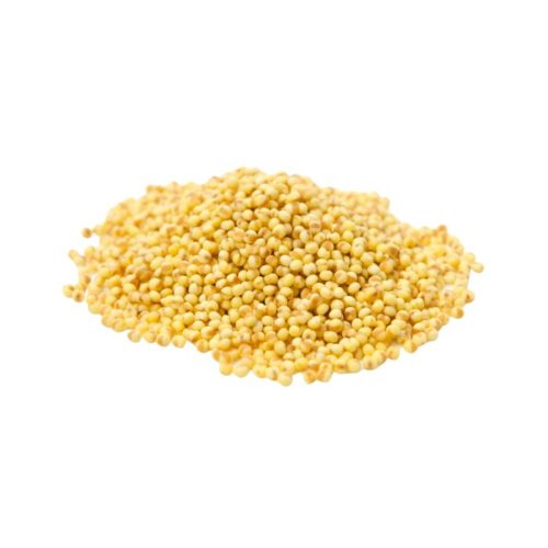 Millet Caractéristiques, Utilisations et Bienfaits Phytothérapie