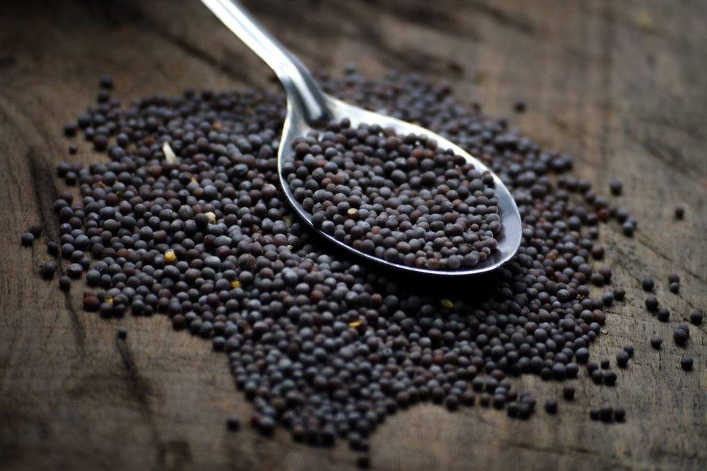 moutarde-noire-phytothérapie