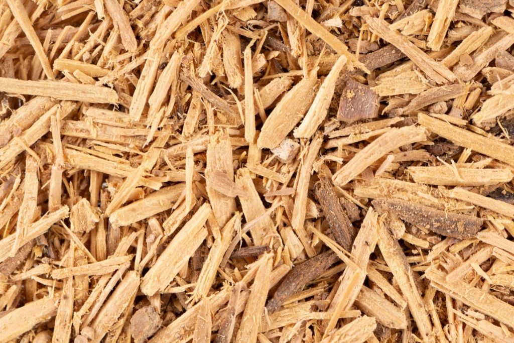 muira-puama-fitoterapia