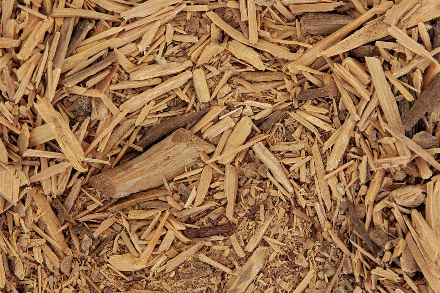 Muira puama Caractéristiques, Utilisations et Bienfaits