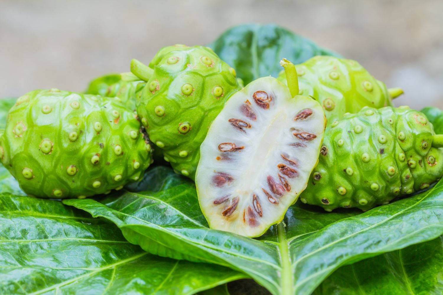 noni-proprietes