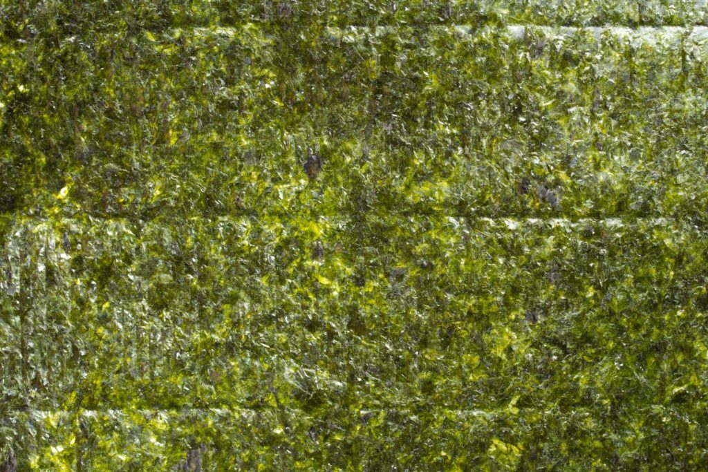 nori-caracteristiques