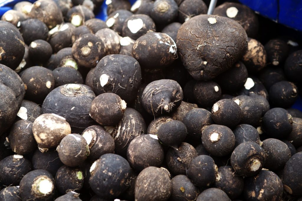 radis-noir-proprietes