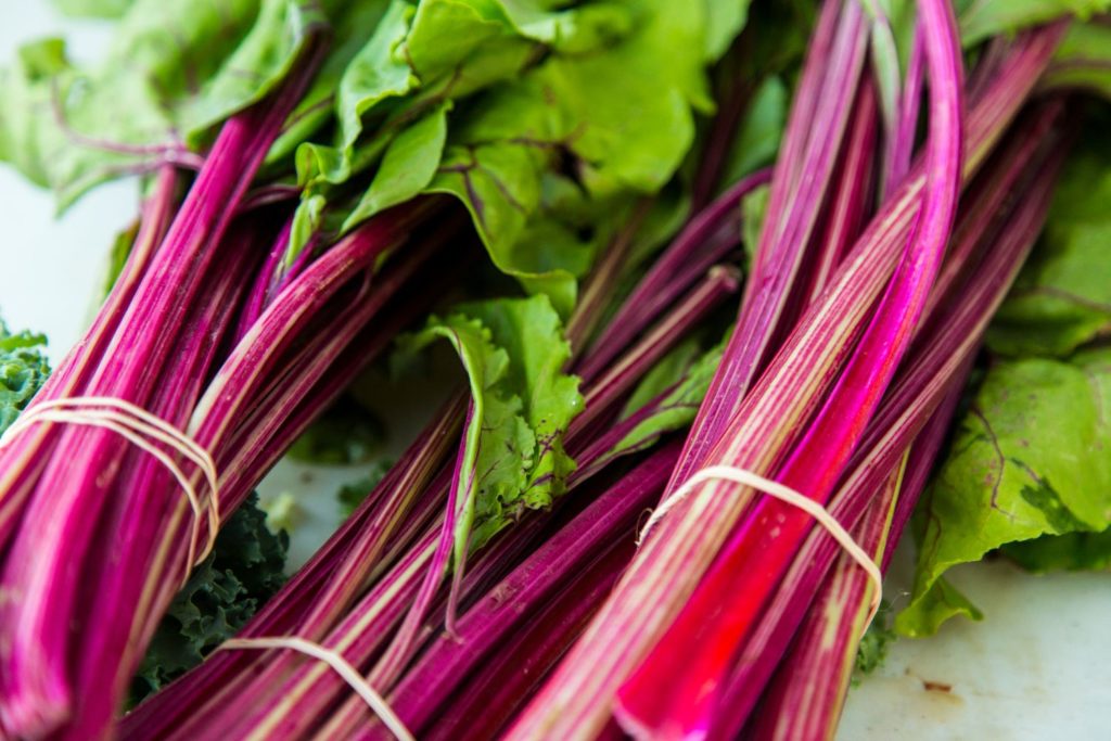 rhubarbe-de-chine-phytotherapie