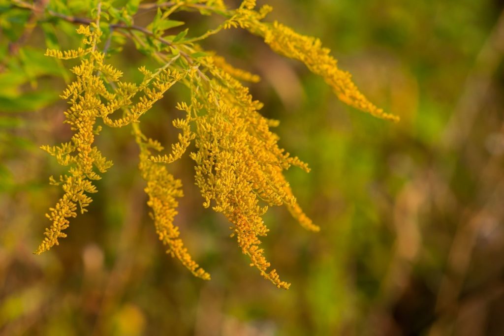 solidage-utilisations