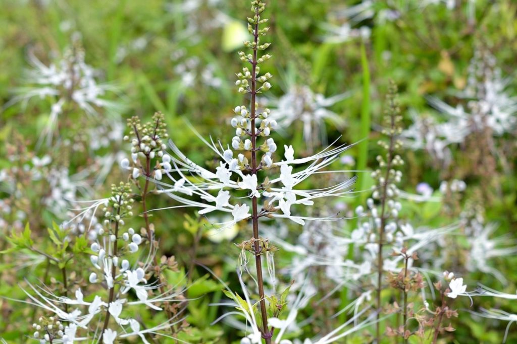 the-de-java-utilisations