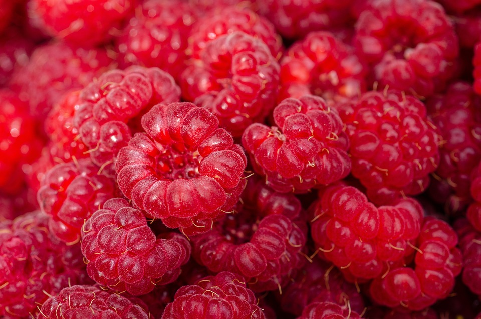 Description-de-la-framboise
