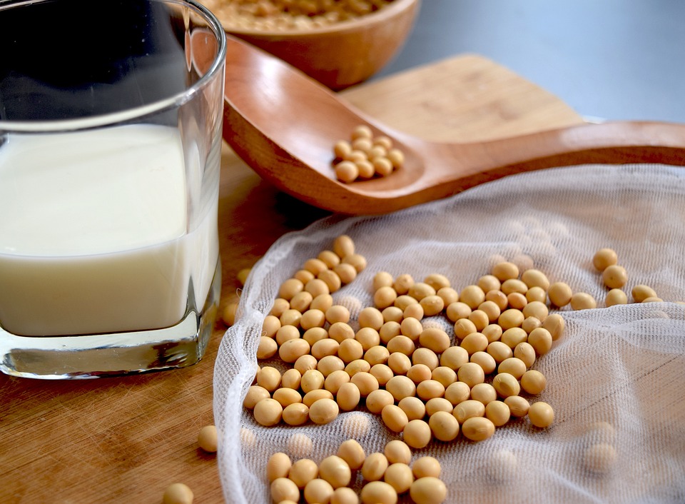 Mode de préparation du lait de soja