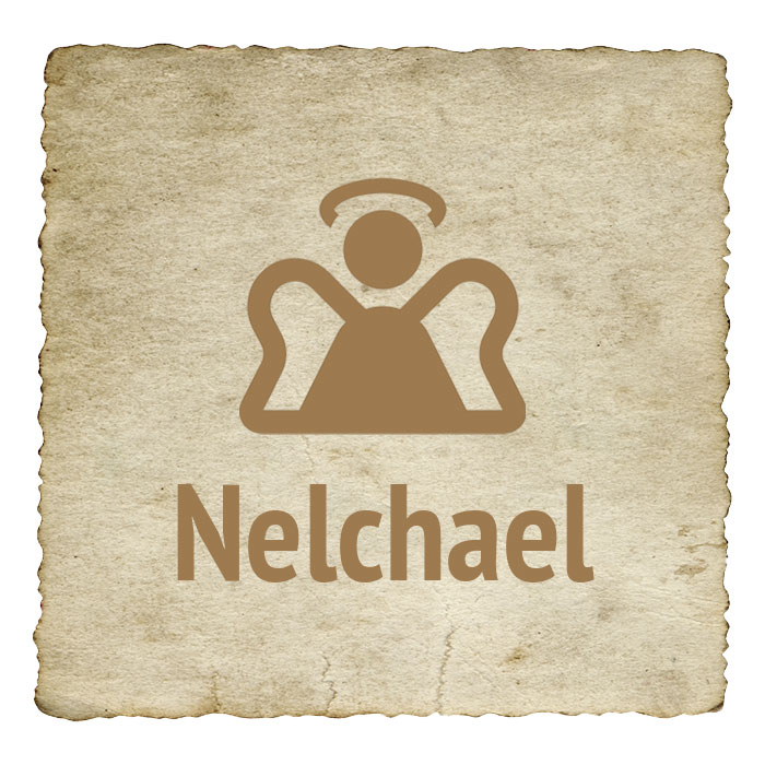 ange-21-nelchael