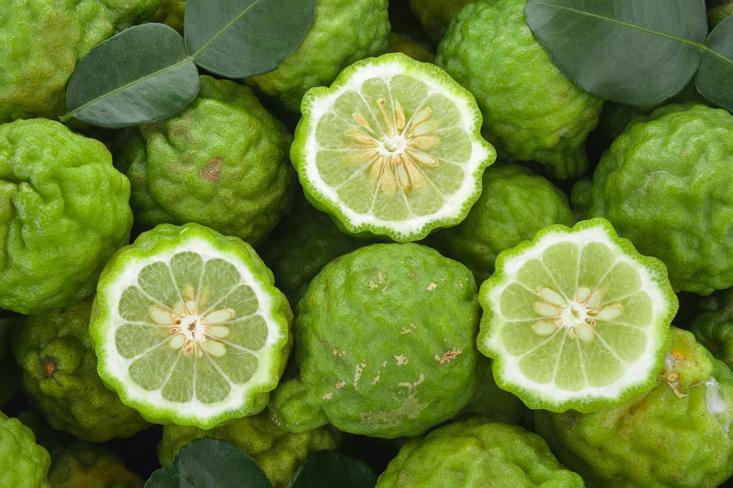 huile-essentielle-bergamote-sans-fucoumarines-caracteristiques