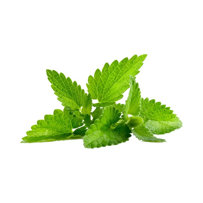 huile-essentielle-menthe-citronnee