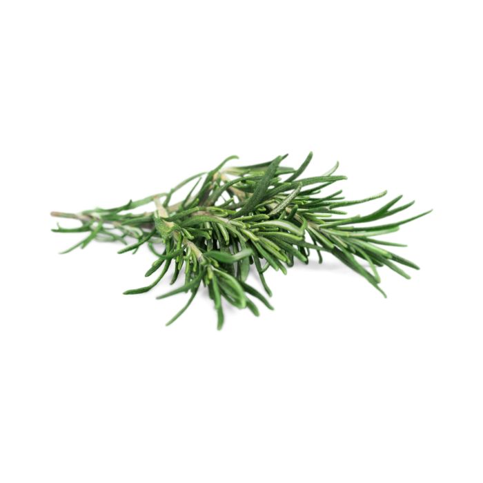 huile-essentielle-romarin-a-camphre