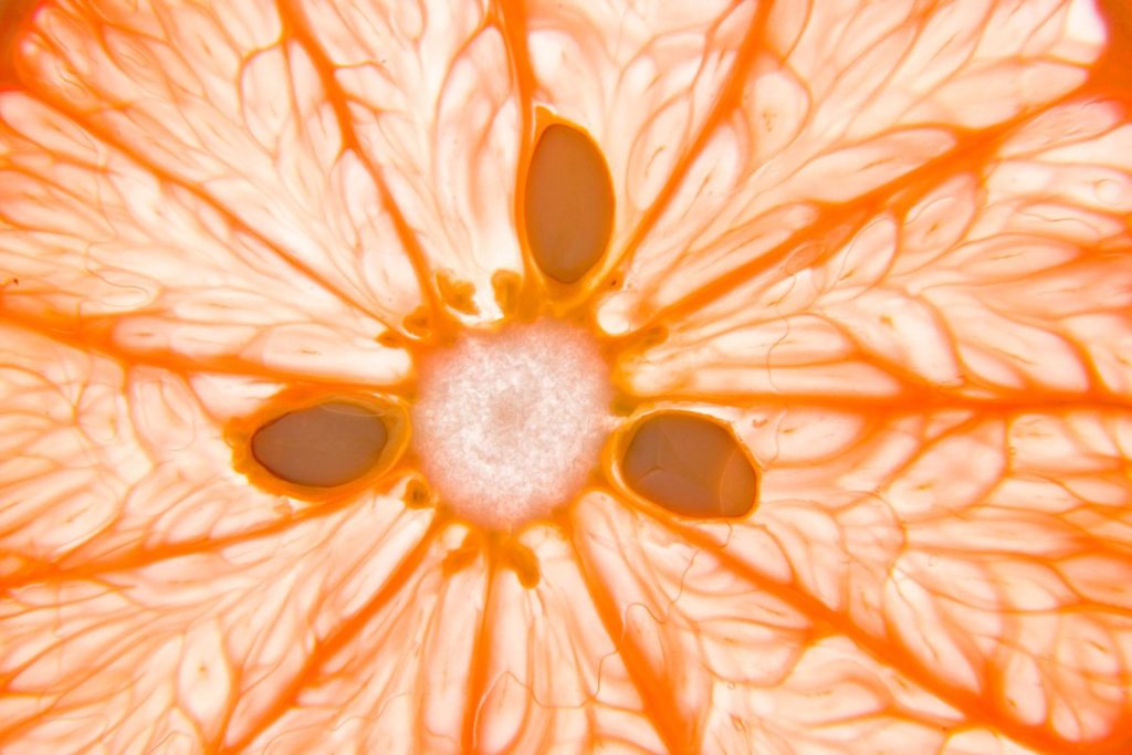 pamplemousse-utilisations