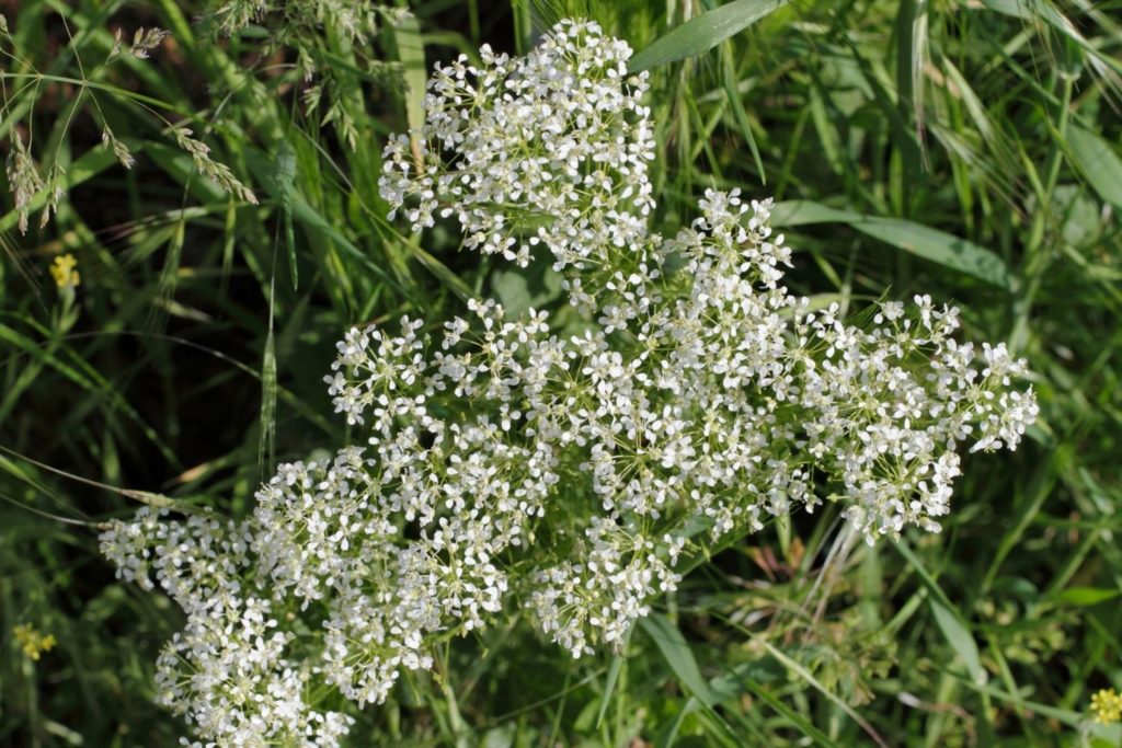 passerage-proprietes