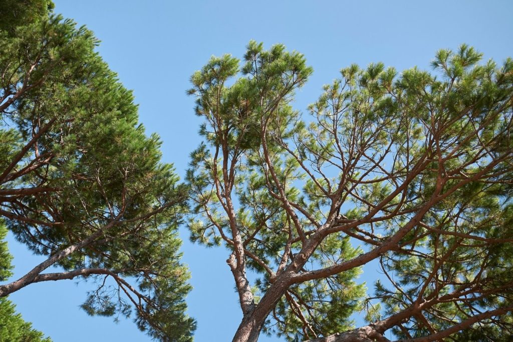 pin-maritime-proprietes