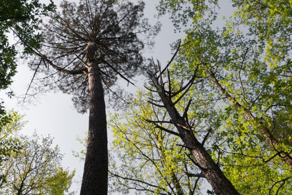 pin-maritime-utilisations