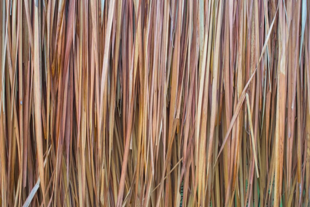 vetiver-d-haiti-utilisation