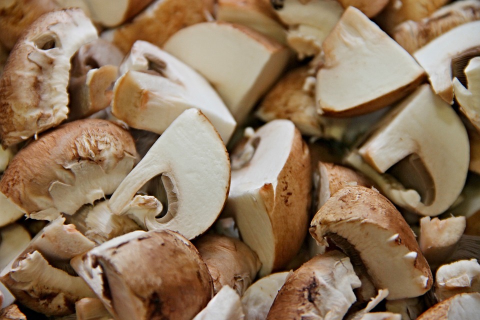 Critères de choix du champignon