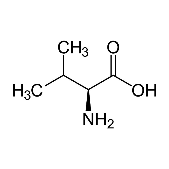 acides-amines-proprietes