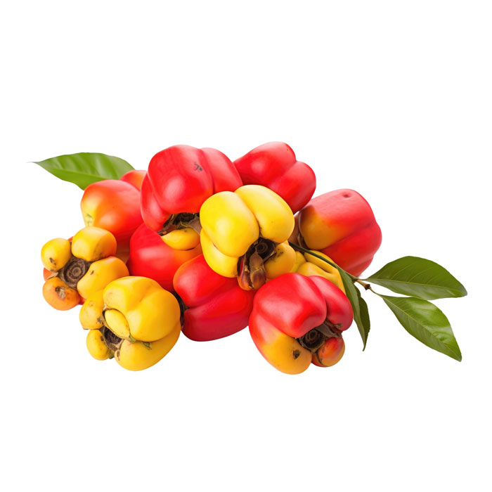 aliment-aki
