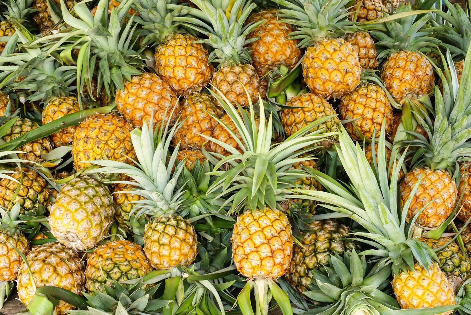 aliment-ananas-aliment