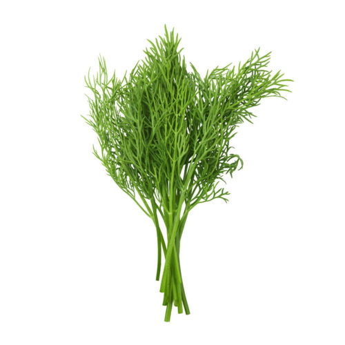 Aneth - Guide des Aliments de A à Z - France Minéraux