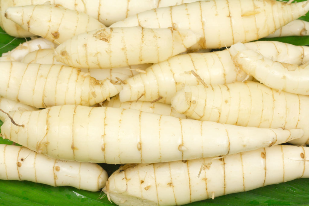 aliment-arrow-root-descriptif