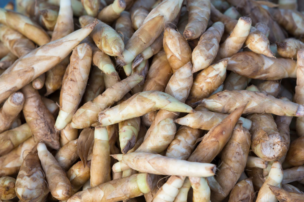 aliment-arrow-root-histoire