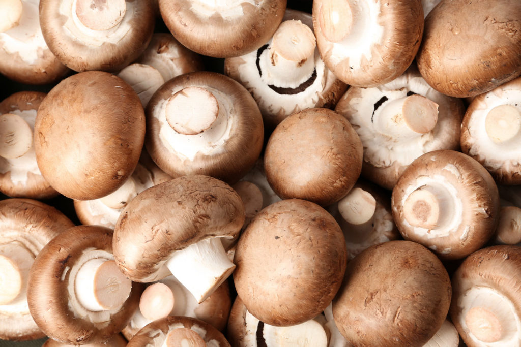 aliment-champignon-portobello-descriptif