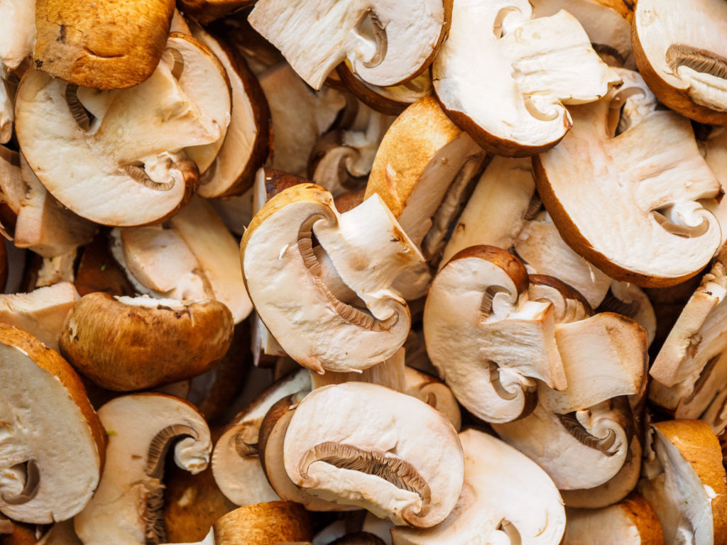 aliment-champignon-portobello-utilisation