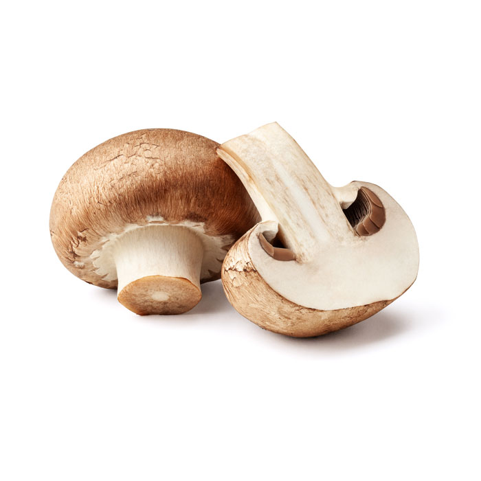 Formation complète sur la culture des champignons