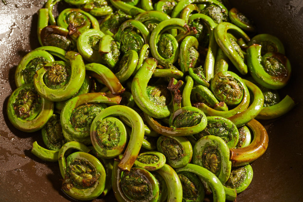 aliment-crosse-de-fougere-histoire