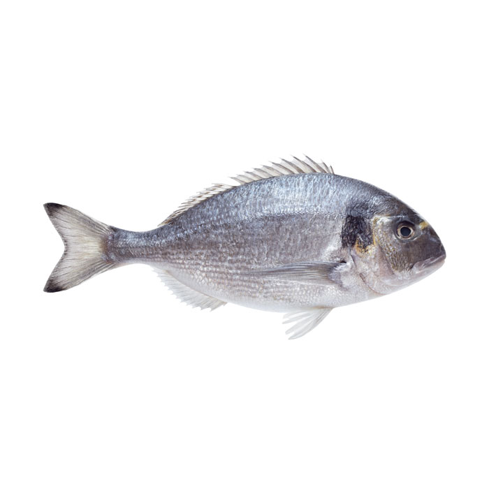 aliment-dorade