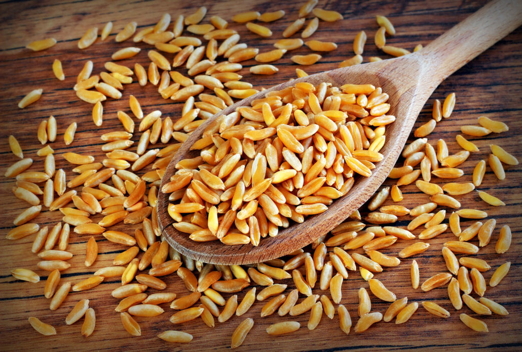 aliment-farine-de-kamut-descriptif