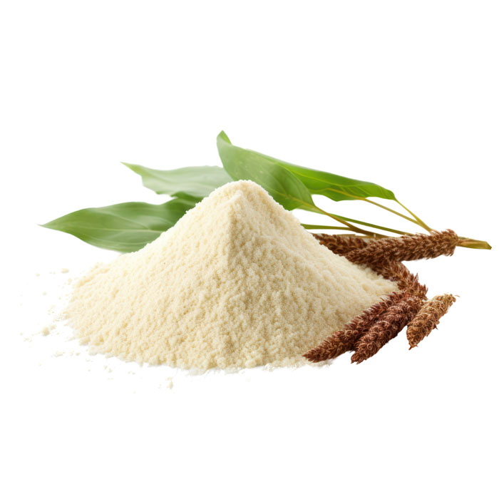 aliment-farine-de-sorgho