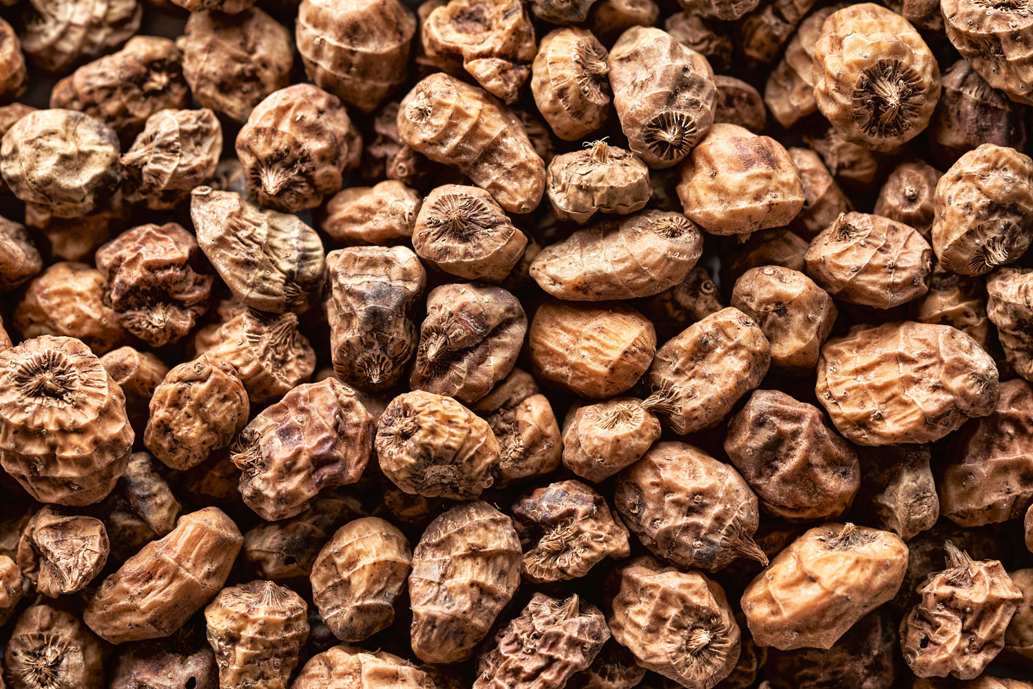 aliment-farine-de-souchet-descriptif