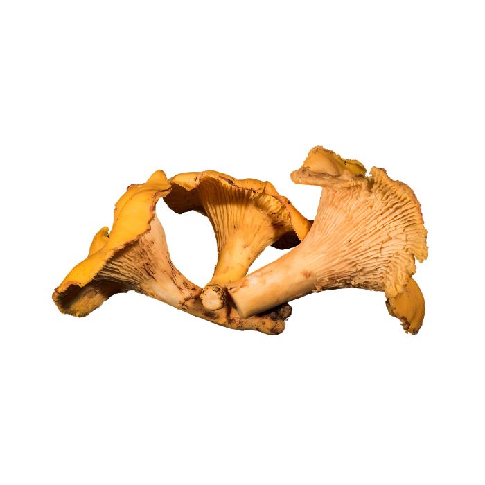 aliment-girolle