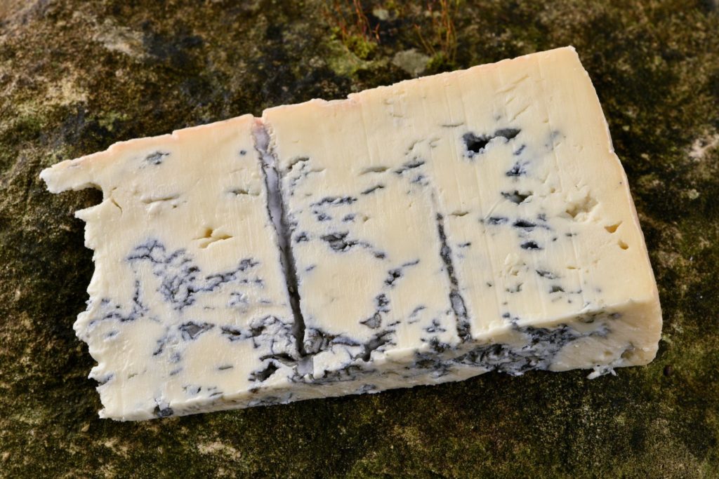 aliment-gorgonzola-aliment