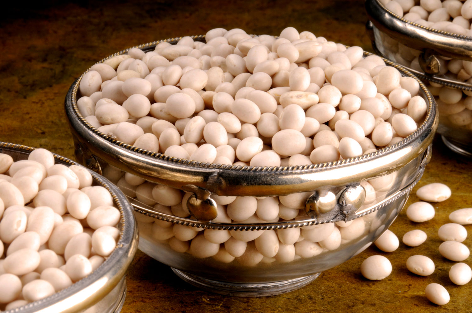 aliment-haricot-coco-utilisation