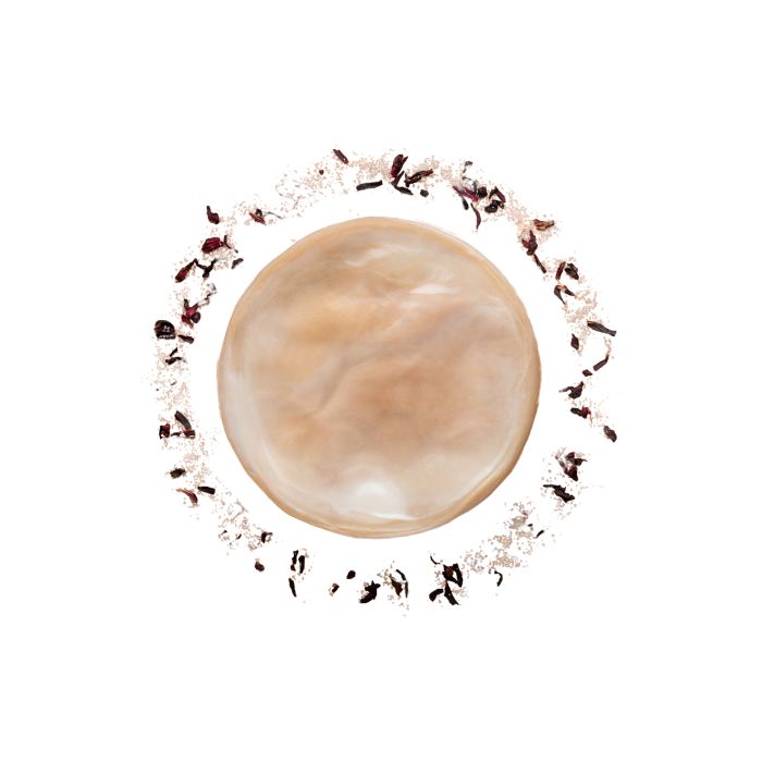 aliment-kombucha