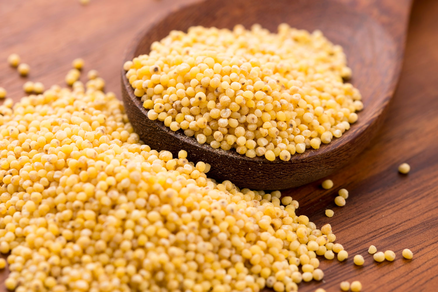 aliment-millet-descriptif