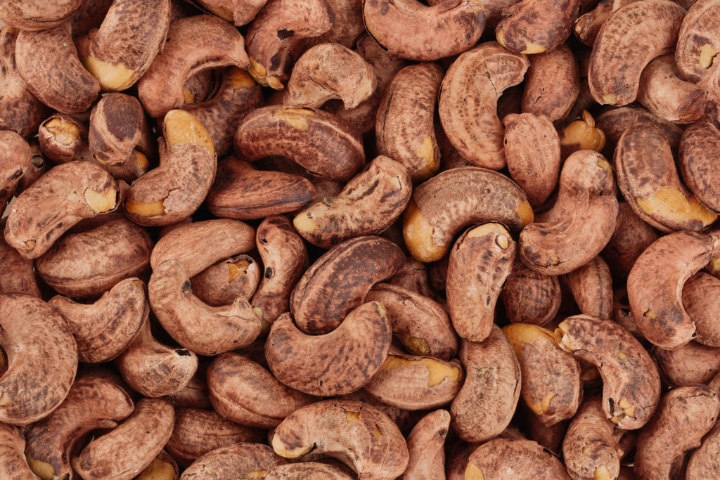 aliment-noix-de-cajou-histoire