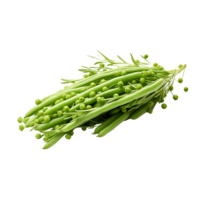 aliment-salicorne