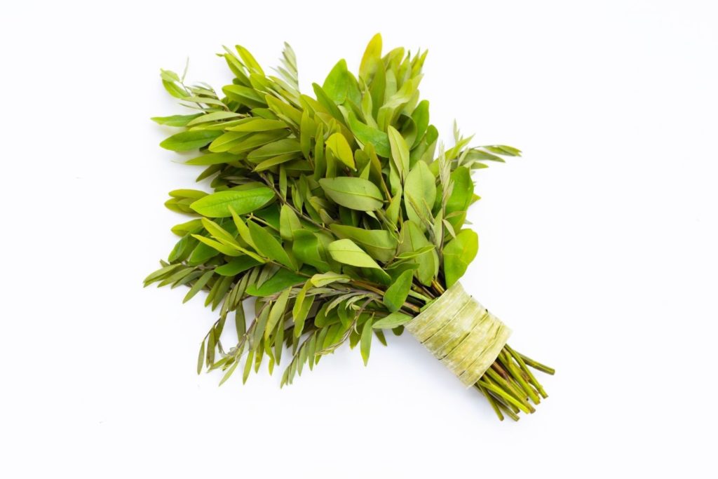 huile-essentielle-bois-de-siam-huile-essentielle