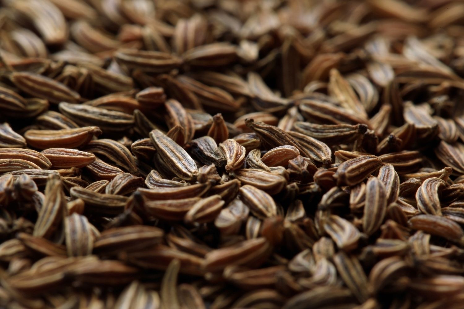 huile-essentielle-carvi-huile-essentielle