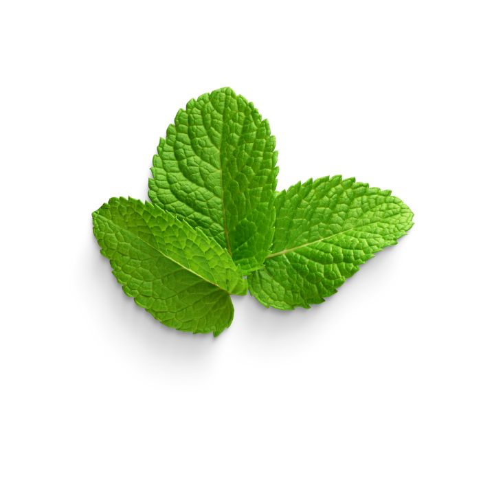 huile-essentielle-menthe-poivree