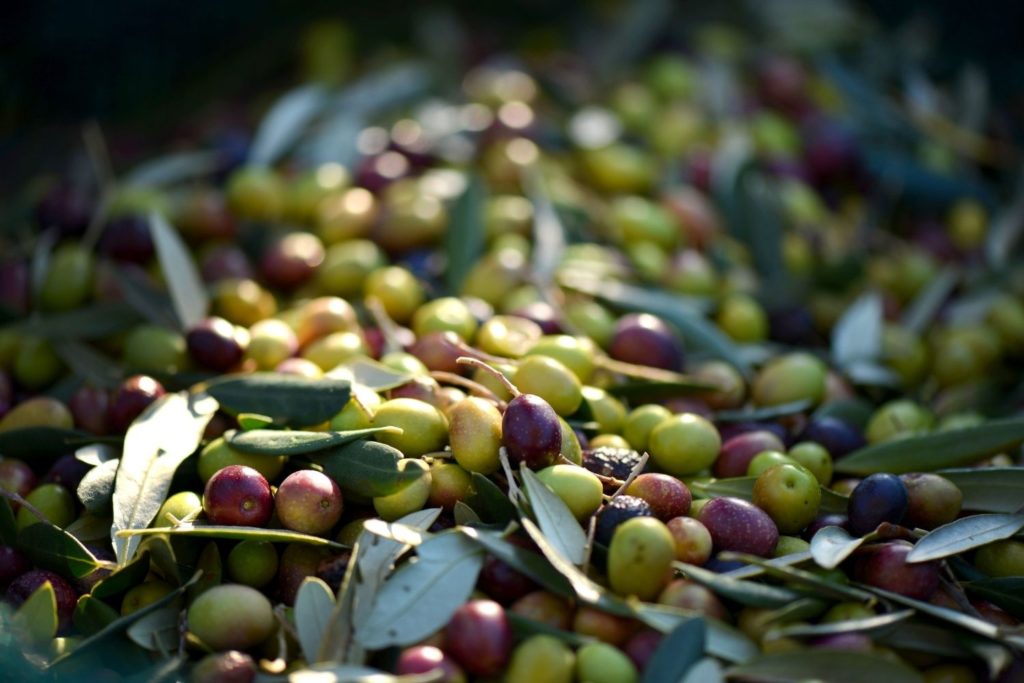 huile-vegetale-olive-caracteristiques