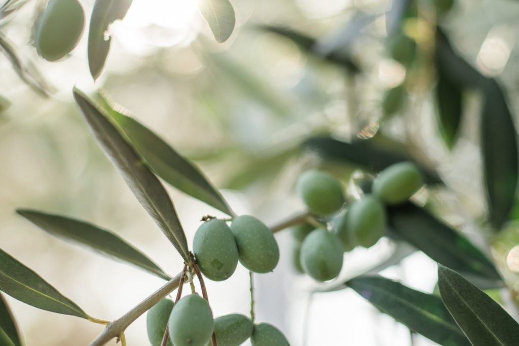huile-vegetale-olive-huile-vegetale